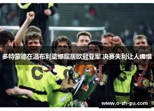 多特蒙德在温布利遗憾屈居欧冠亚军 决赛失利让人痛惜